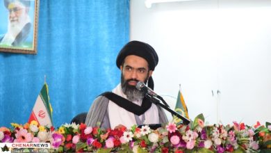 حجت الاسلام سید محمد علی شهیم